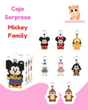Mickey Family Caja Sorpresa